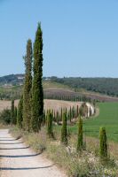 italiedunord2014 (51).jpg
